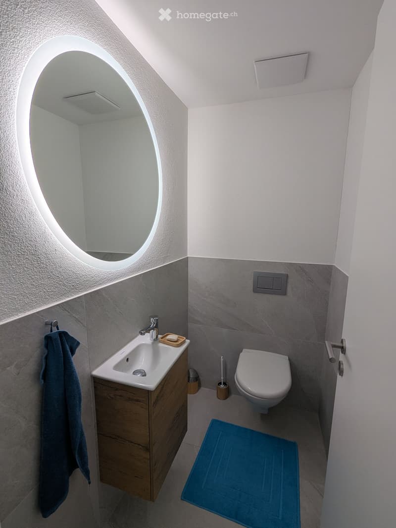 Modern bathroom with a white sink, wooden cabinet, toilet, large round mirror, towel, and bathmat.