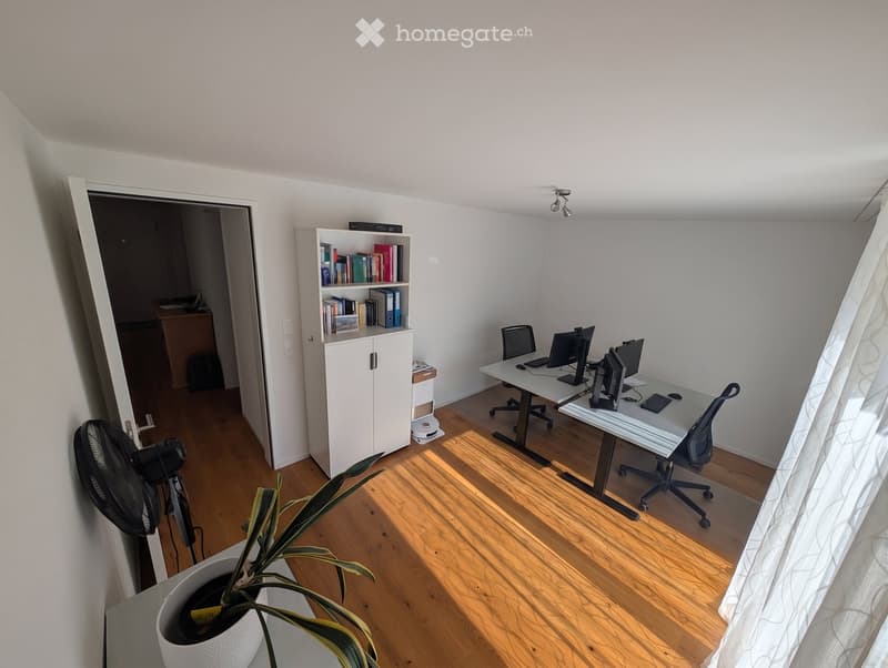Bright, modern office space with wooden flooring, white walls, and large windows. Features a desk with two computer monitors, a keyboard, a mouse, two office chairs, a bookshelf, a fan, and a potted plant.