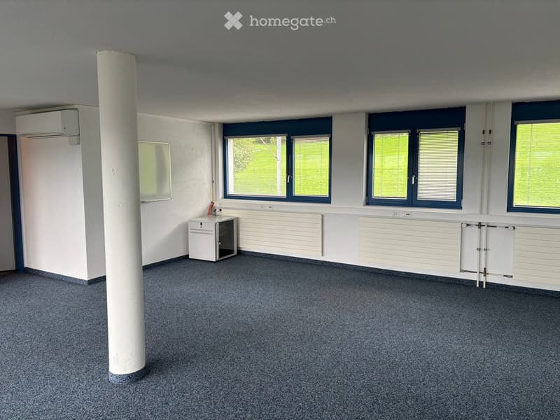 Empty room with grey carpet, white walls, large windows with blinds, radiators, and a small white cabinet.