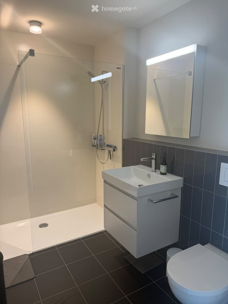 Modern bathroom with a white sink, mirror, toilet, and a glass-enclosed shower area.