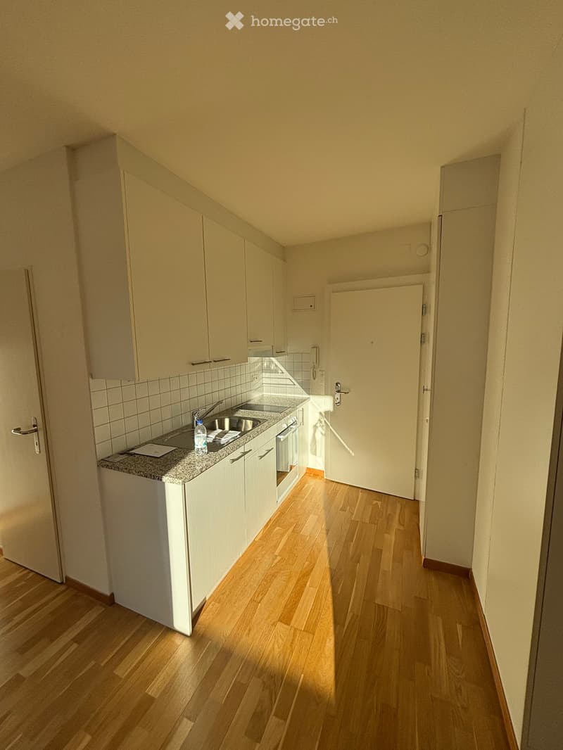 Modern kitchen with light wooden flooring, white cabinets, granite countertop, sink, and oven. A bottle is placed on the countertop.