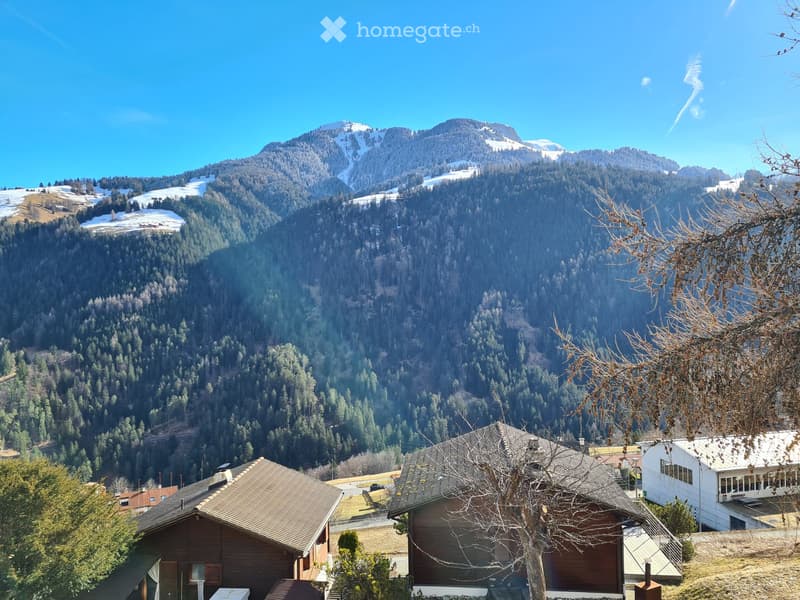 A scenic view of a mountain range with snow-capped peaks, surrounded by dense forests and a few houses in the foreground.