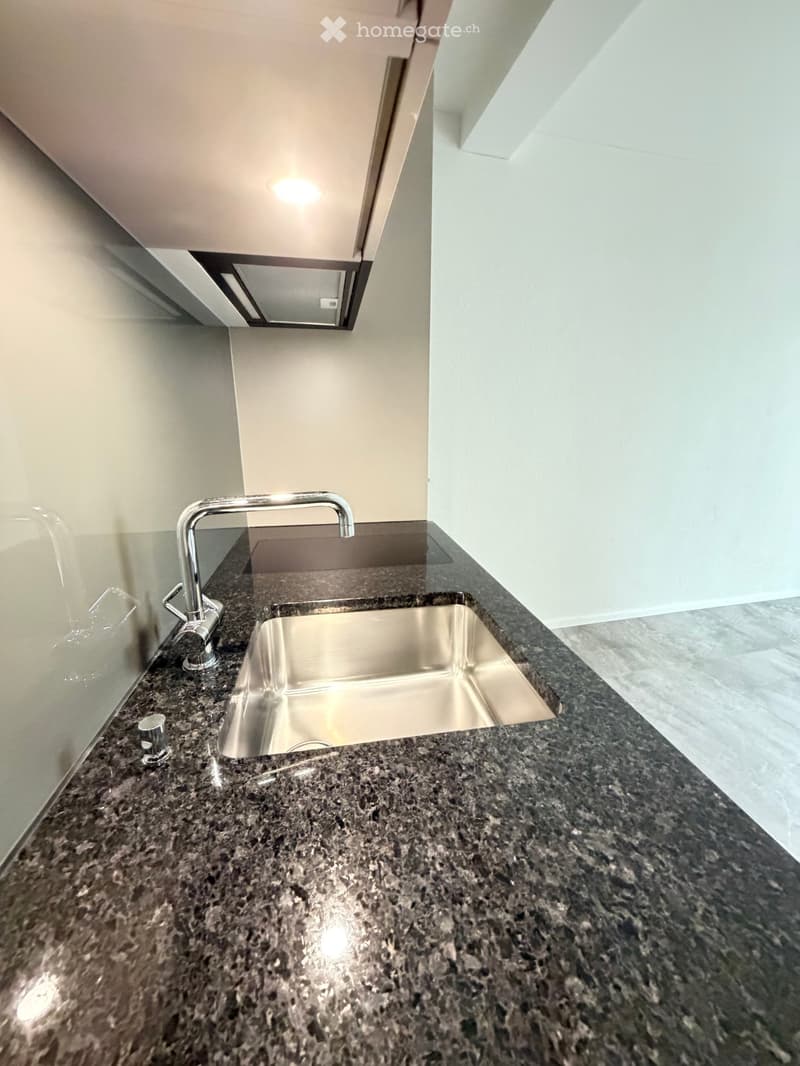 Modern kitchen with granite countertop, stainless steel sink, and sleek faucet.