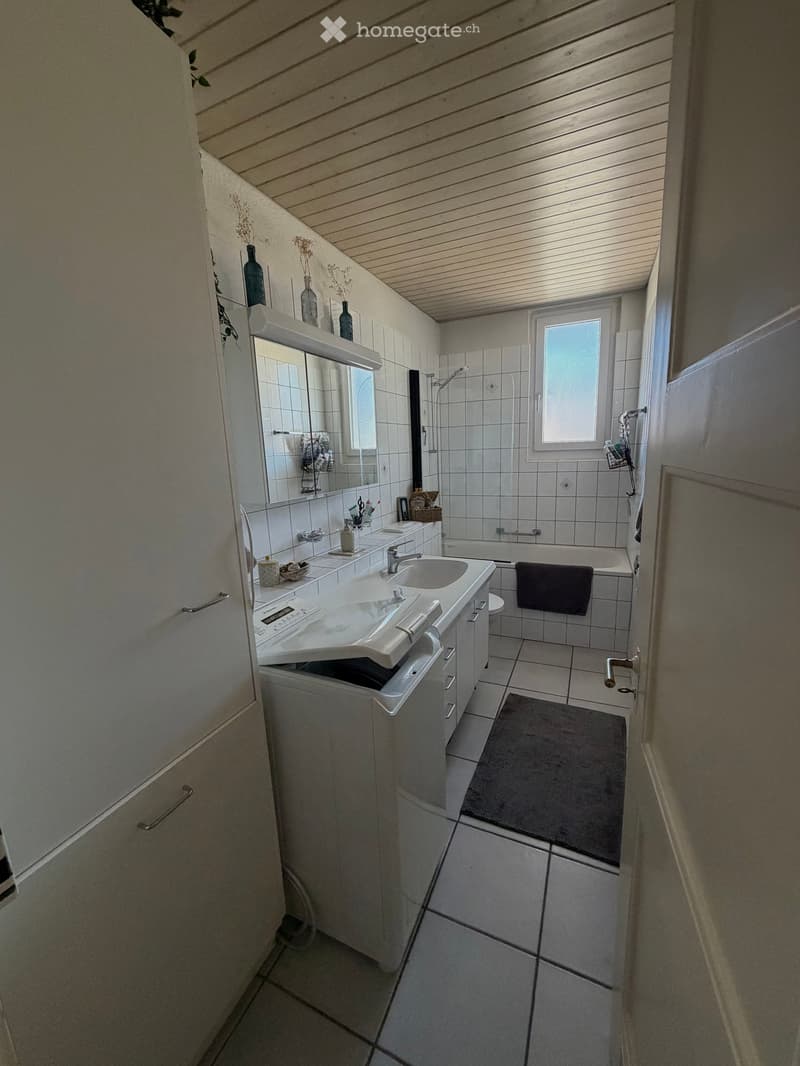 Modern bathroom with white tiles, a large sink with a mirror, a bathtub with a shower, and decorative vases on the wall.