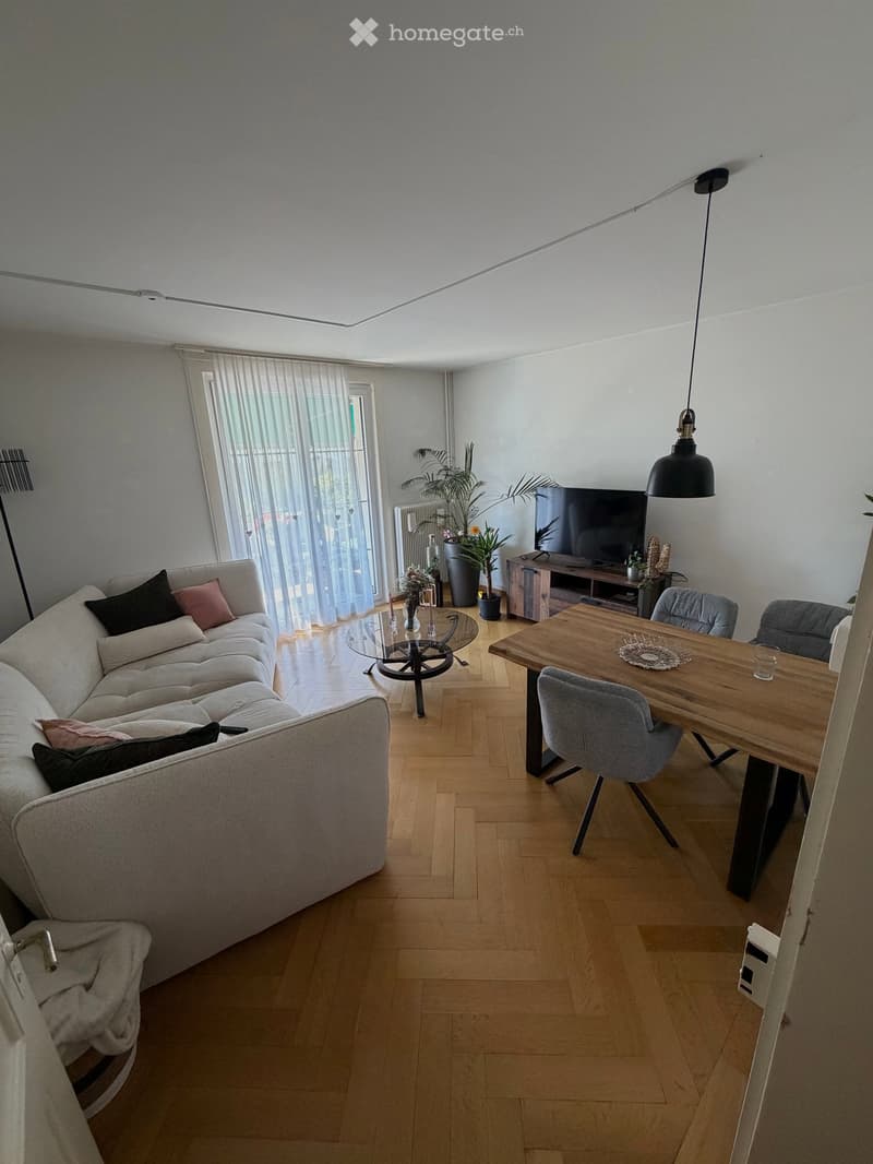 Modern living room with a sectional sofa, coffee table, dining table with chairs, TV, pendant light, floor lamp, and plants.
