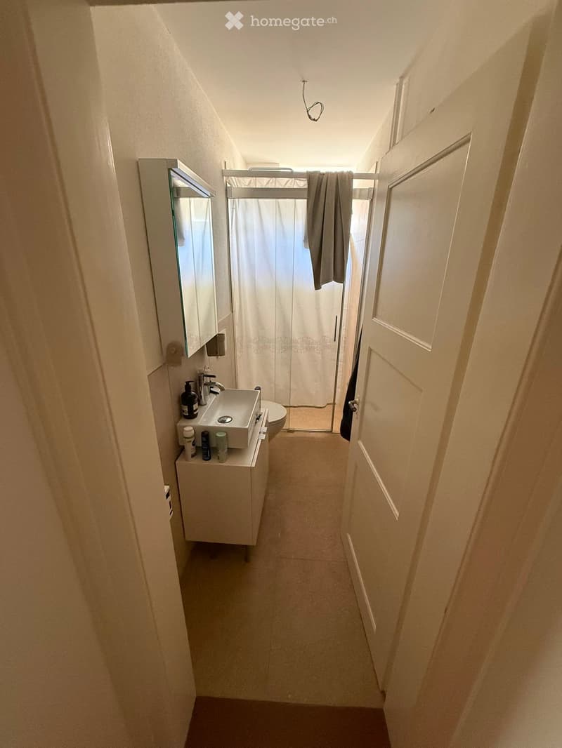 Modern bathroom with a white sink, toilet, mirror, and a glass-enclosed shower. The space is well-lit with natural light coming through the shower window.