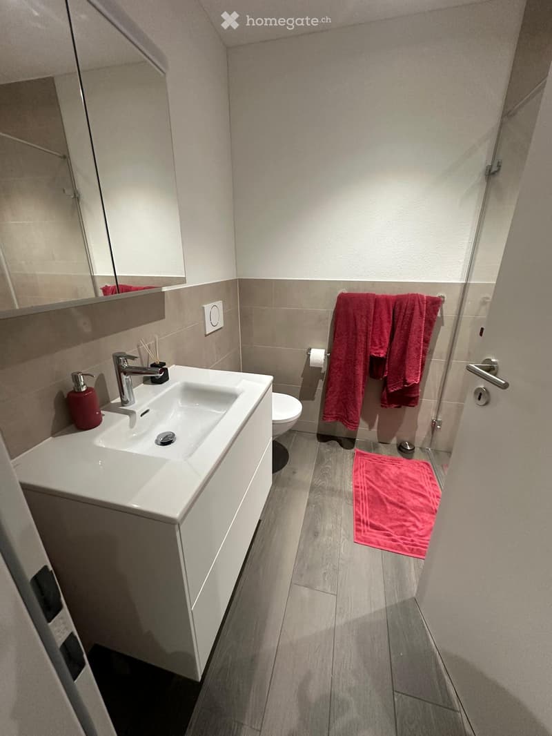 Modern bathroom with a white sink, chrome faucet, toilet, mirror, and red towels on the wall and floor.
