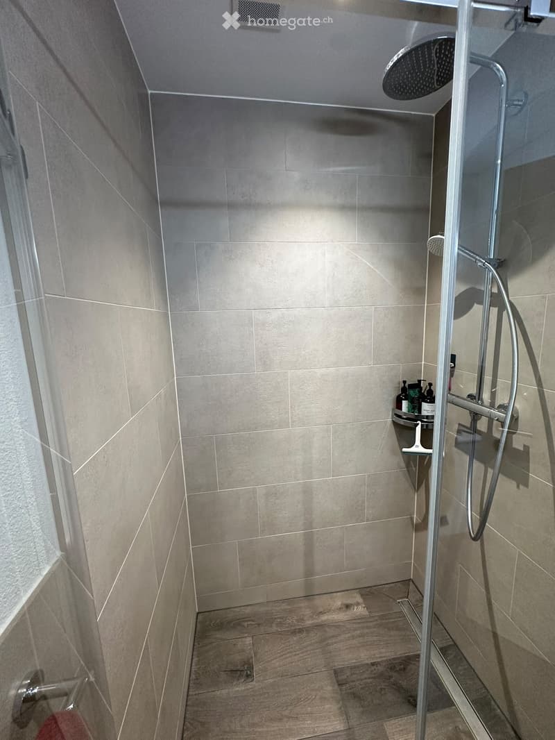 Modern shower area with a glass enclosure, tiled walls, and a wooden floor. Features a handheld showerhead, a built-in shelf holding toiletries, and a sleek design.