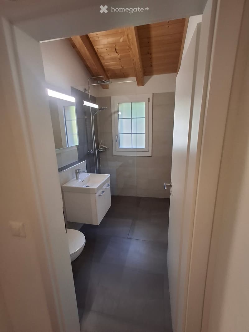 Modern bathroom with a white sink, mirror, toilet, and shower area. The space features a wooden slanted ceiling and a window with frosted glass panels.