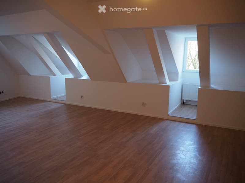 Empty attic room with wooden flooring, white walls, and skylights providing natural light. No furniture or equipment present.