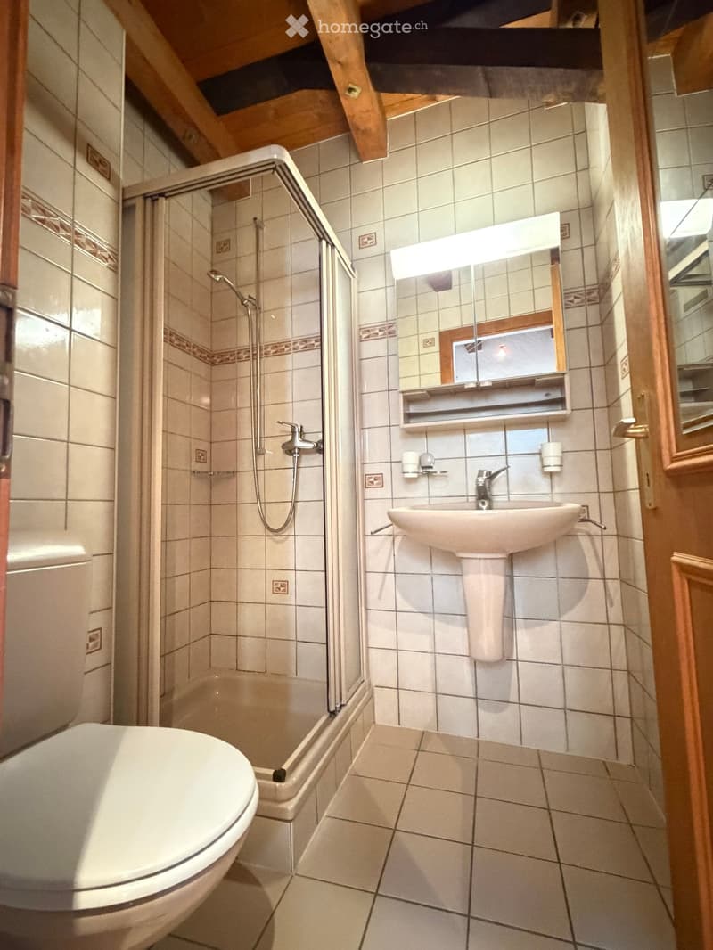 Cozy bathroom with a toilet, sink, mirror, and shower area. The room features tiled walls and a wooden ceiling with exposed beams.