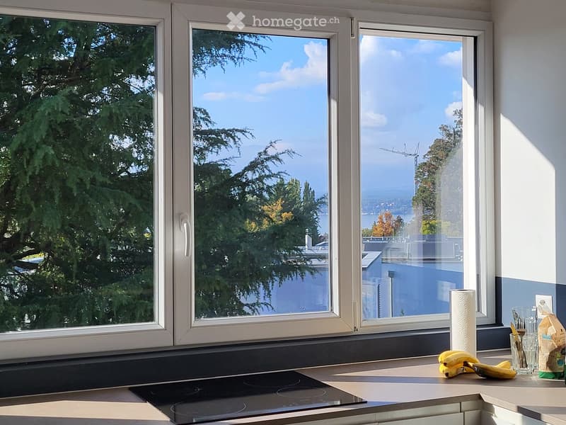 Modern kitchen with large windows overlooking a cityscape and greenery, featuring an induction stove, countertop with bananas, a paper towel roll, and a glass with utensils.