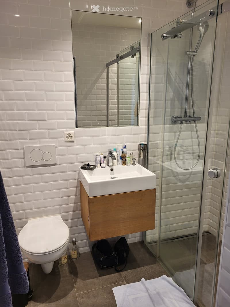 Modern bathroom with white brick tiles, a white toilet, a wooden sink cabinet, a glass-enclosed shower, and a mirror above the sink.