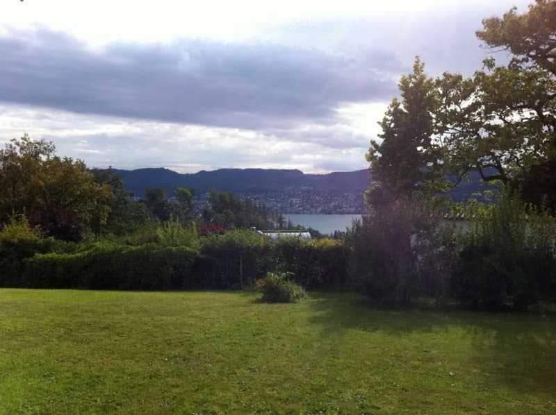 A grassy lawn with lush greenery, trees, and bushes, surrounded by a well-maintained hedge, offering a beautiful panoramic view of a lake and mountains.