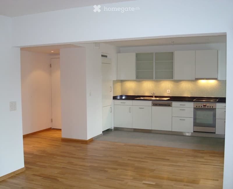 Empty modern kitchen with a sink, faucet, dishwasher, and oven.