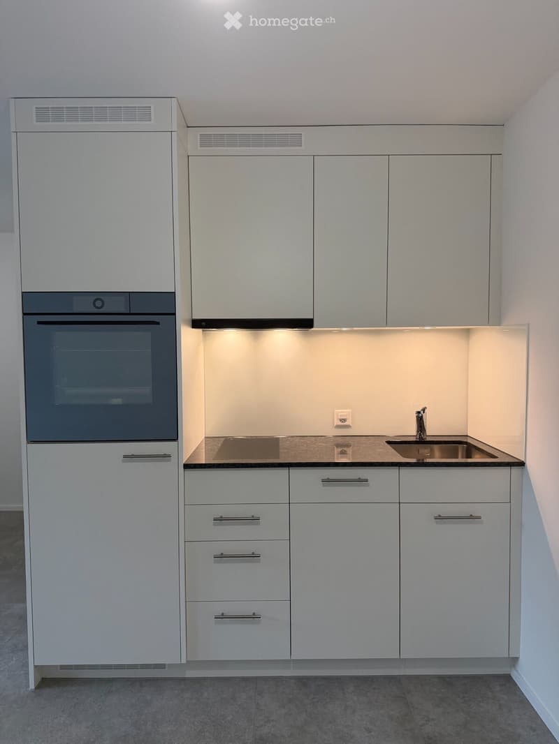 Modern kitchen with white cabinets, stainless steel sink, and built-in oven.