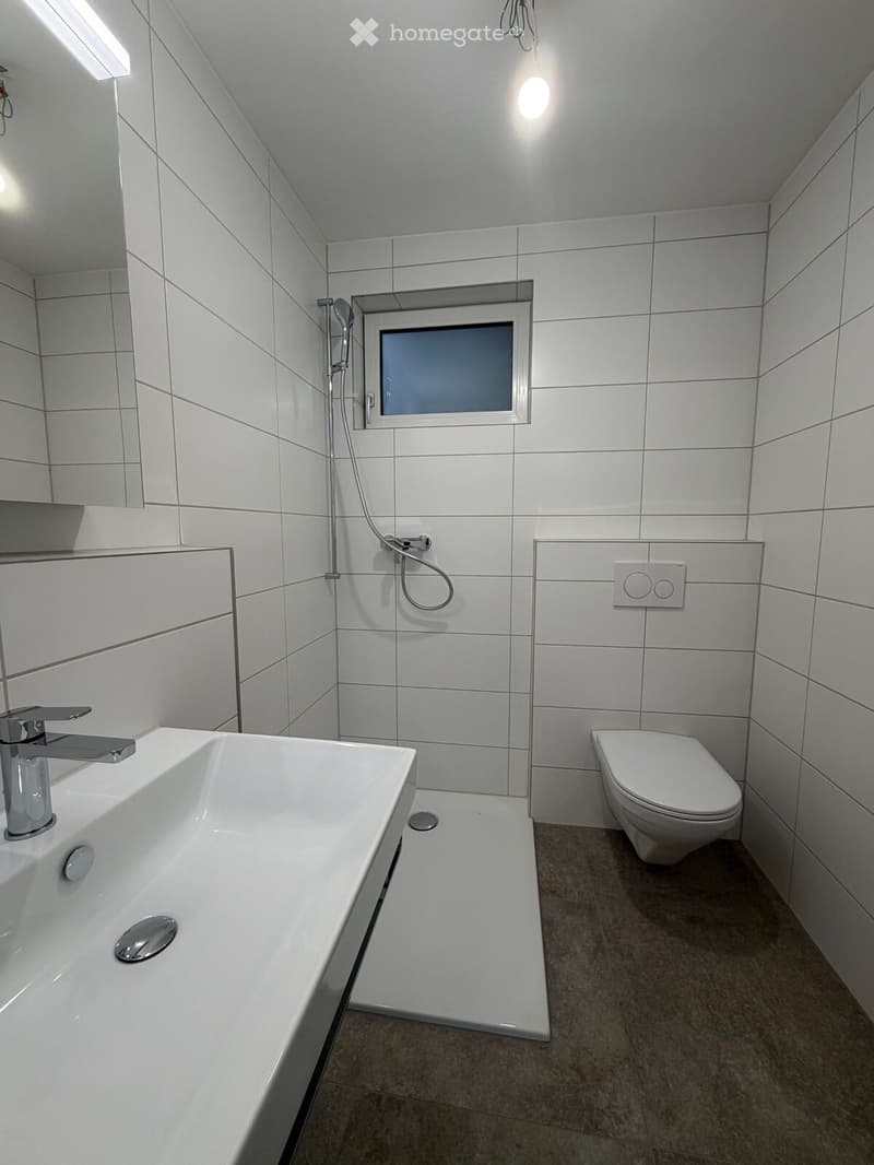 Modern bathroom with white tiled walls, a bathtub, a toilet, a showerhead, and a mirror above the sink.