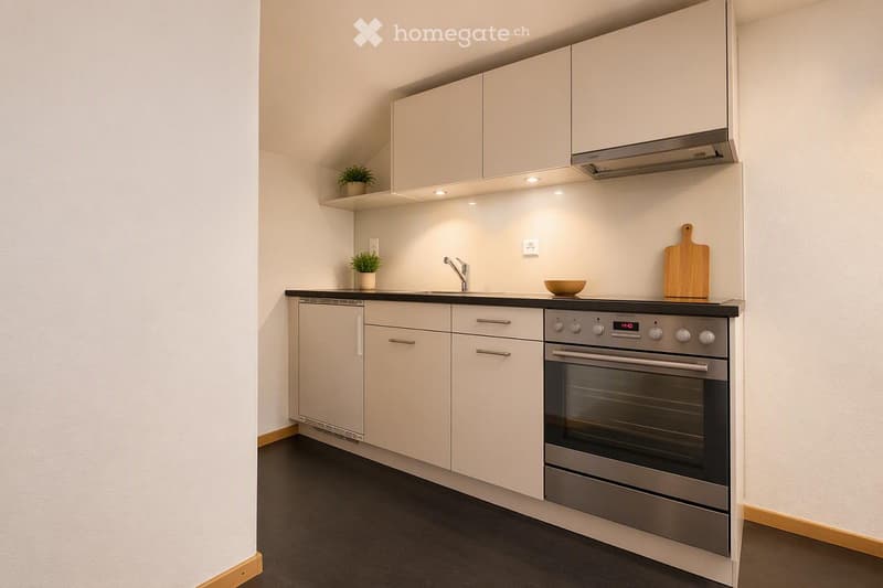 Modern kitchen with white cabinets, stainless steel oven, black countertop, and small potted plants on shelves.
