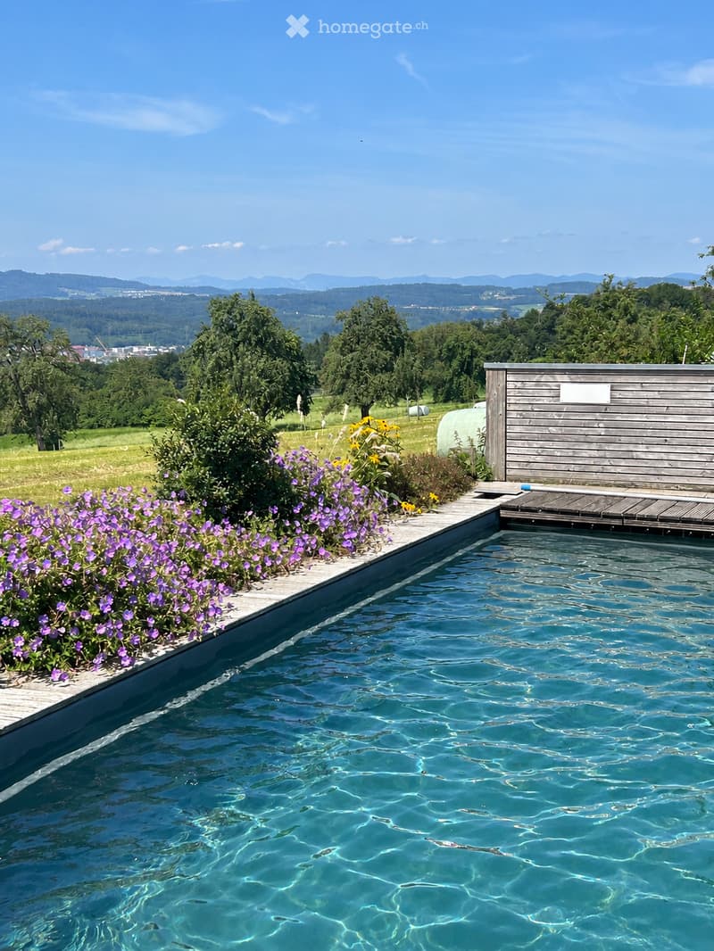A swimming pool surrounded by a wooden deck, with purple and yellow flowers along the edge and a scenic view of a green landscape and mountains in the background.