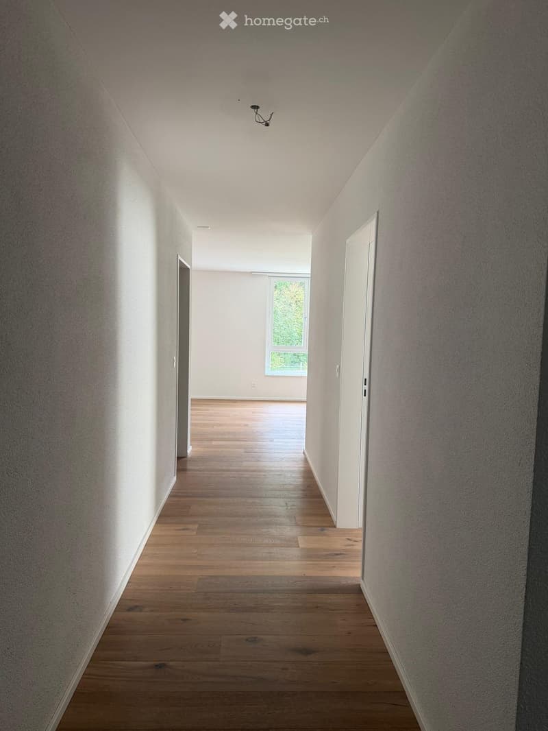 Empty hallway with wooden flooring, white walls, and a ceiling light fixture. A window at the end allows natural light to enter.
