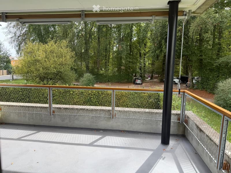 Balcony with metal railing, concrete floor, and a view of a park with trees and parked cars.