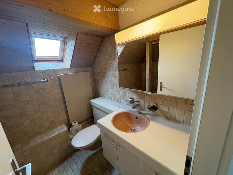 Cozy bathroom with a sink, toilet, mirror, and cabinet. The room features wooden beams on the ceiling and a skylight window providing natural light.