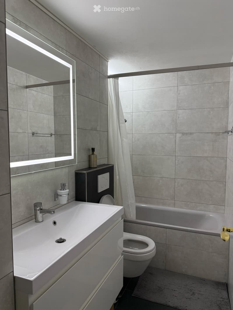 3,5-Zimmer Wohnung in Schaffhausen (5)