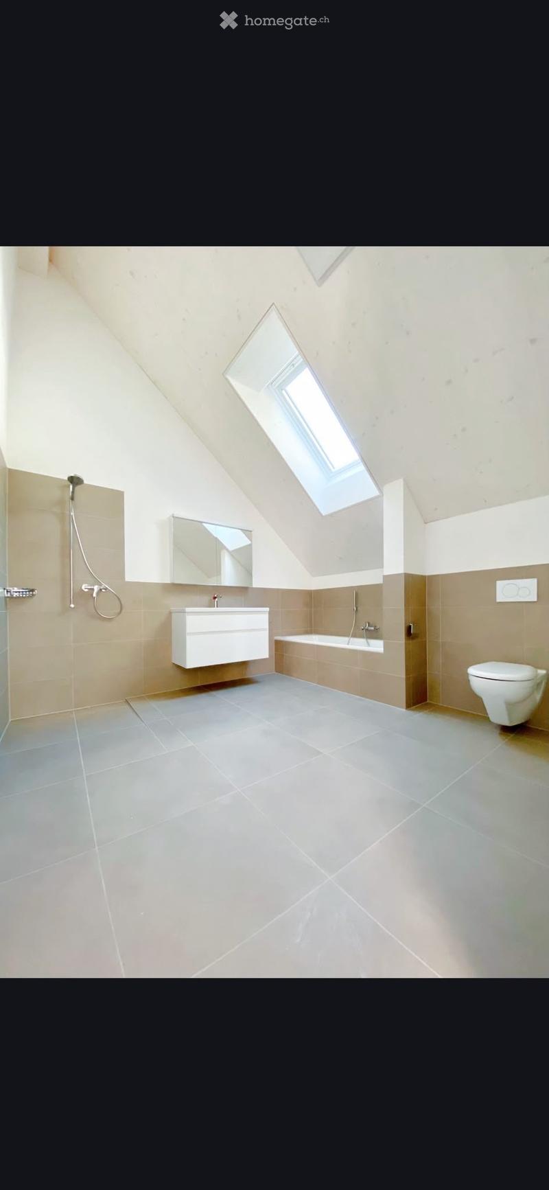 Modern bathroom with a skylight window, white sink, mirror, bathtub, toilet, and shower area.