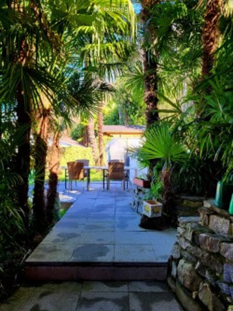 A lush garden area with palm trees, a stone pathway, and outdoor seating including chairs and a table.