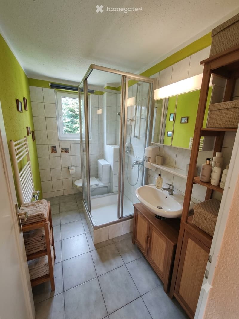 Modern bathroom with a glass-enclosed shower, toilet, sink with wooden cabinet, and a towel rack with folded towels. The walls are painted green with white tiles, and there is a large mirror above the sink.