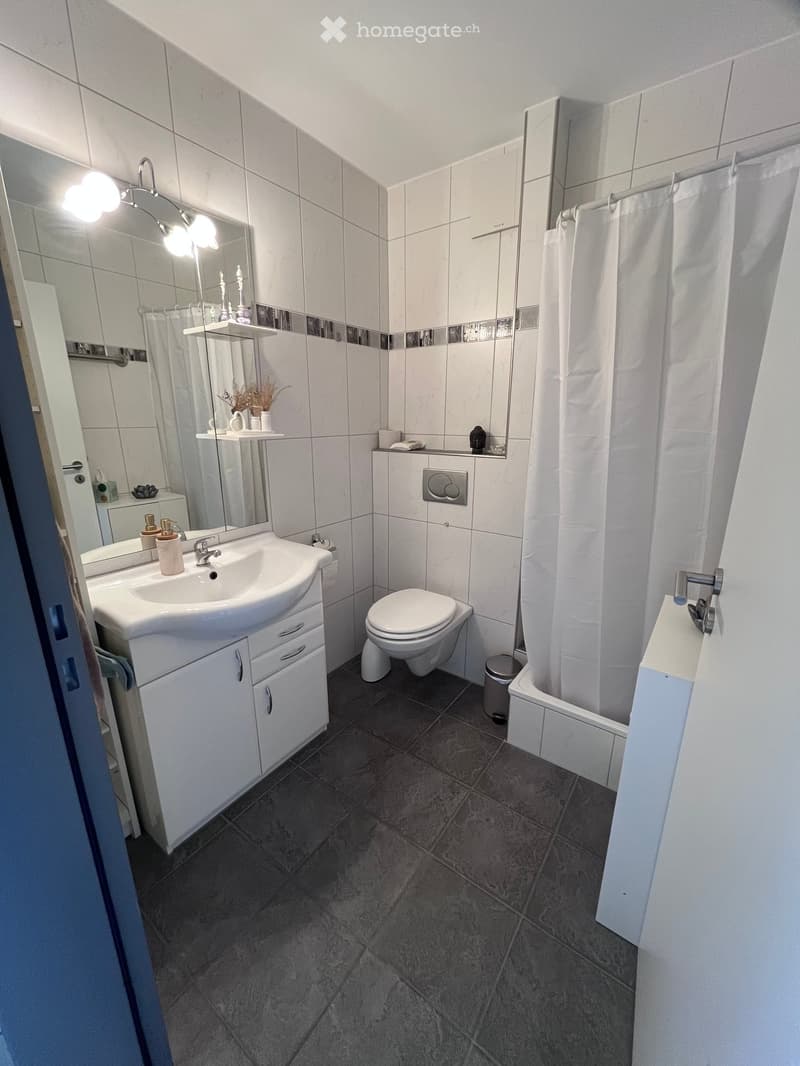Modern bathroom with white tiles, a sink with a cabinet, a toilet, a shower area with a curtain, and a mirror with decorative items on the shelf.