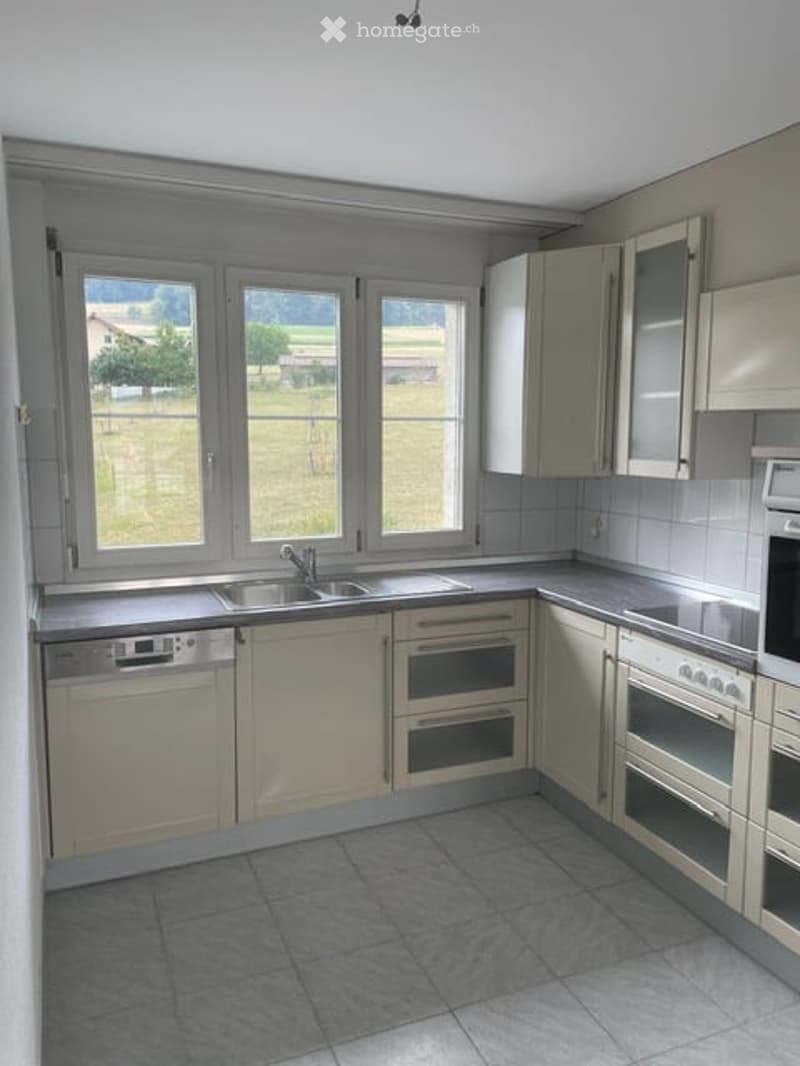 Modern kitchen with light-colored cabinets, stainless steel appliances, and large windows overlooking a green field.