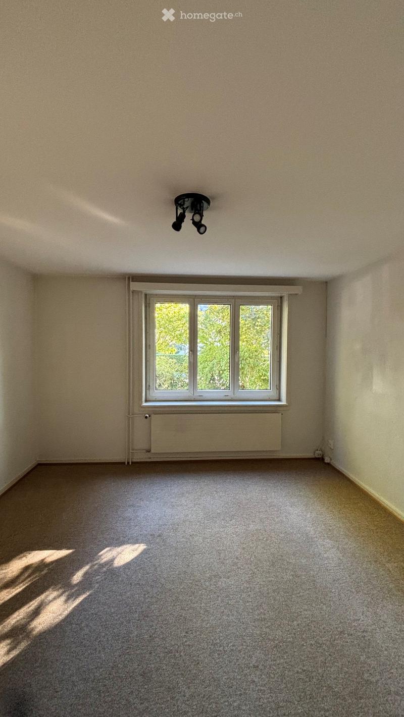 Empty room with beige walls, carpeted floor, large window with white frame, radiator, and ceiling light fixture.