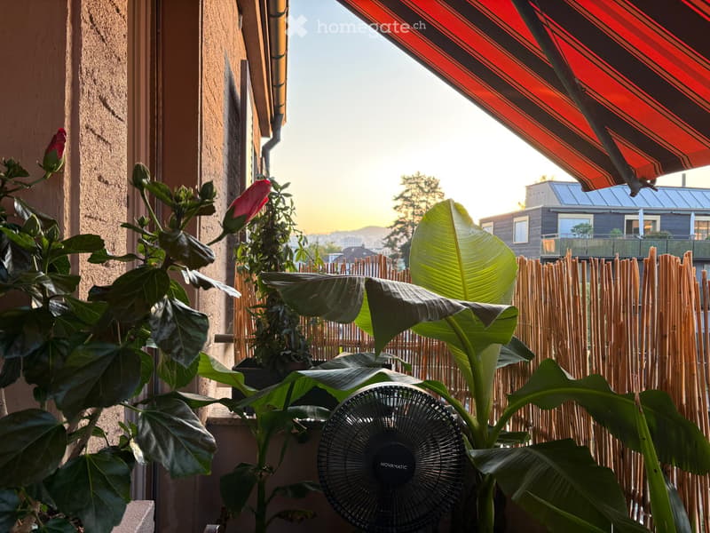 Balcony with large green plants, a fan, and a view of the cityscape at sunset.