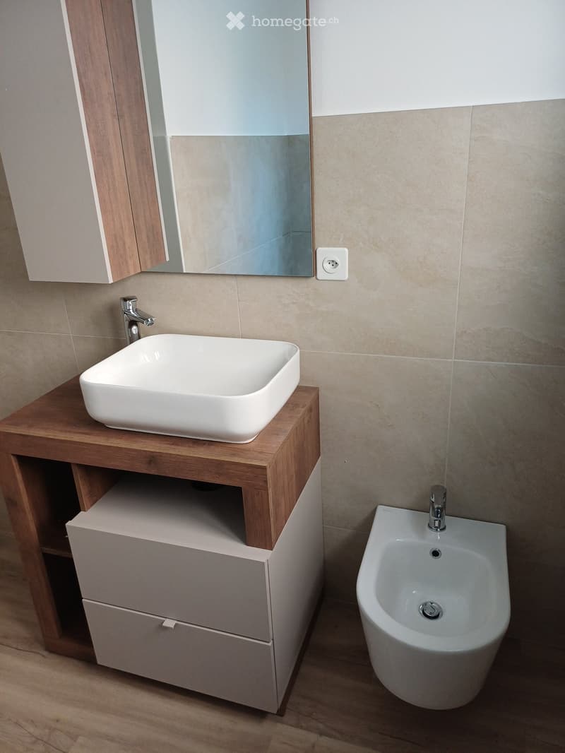 Modern bathroom with a white sink on a wooden vanity, a mirror cabinet, and a bidet with a chrome faucet.