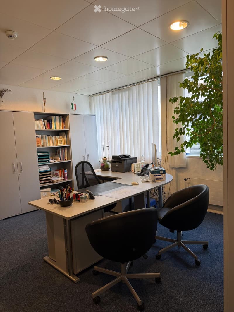 Office space with a large desk, two chairs, a printer, a computer screen, a keyboard, a telephone, a bookshelf with books, and a potted plant near the window.