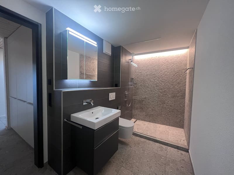 Modern bathroom with a white sink, dark wooden cabinet, large mirror, toilet, and a glass-enclosed shower area with stone tiles.