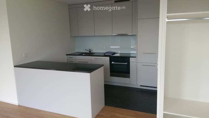Modern kitchen with grey cabinets, black countertop, stainless steel sink and oven, and white island.