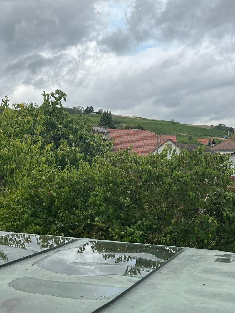 Trasadingen: EFH mit Charme und Panoramablick (8)
