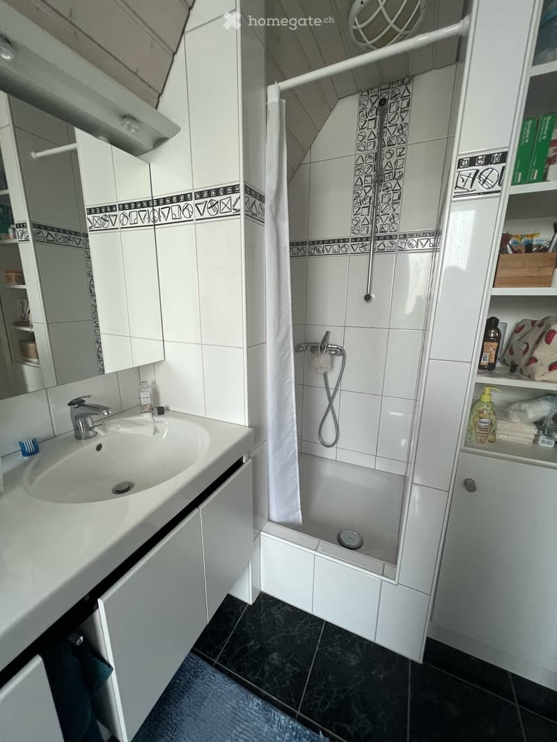 Trasadingen: EFH mit Charme und Panoramablick (30)