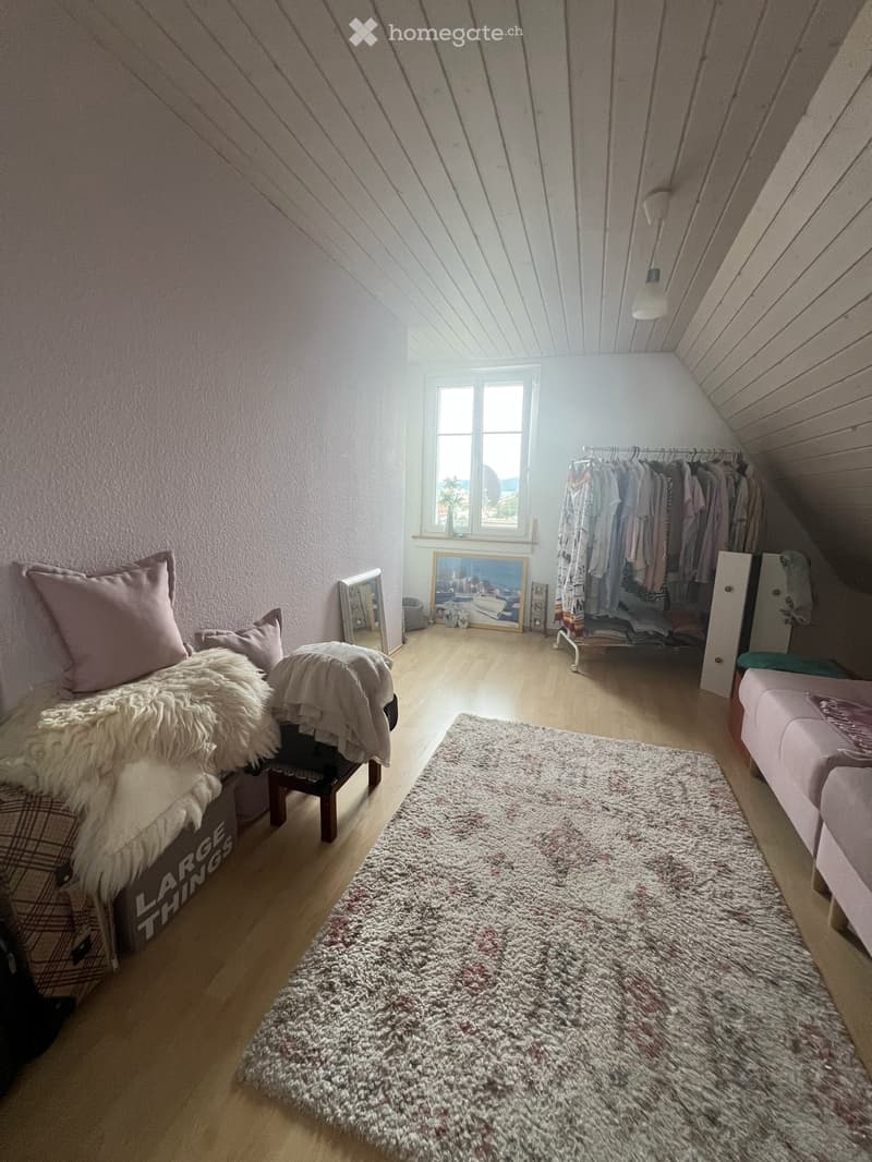 Trasadingen: EFH mit Charme und Panoramablick (39)