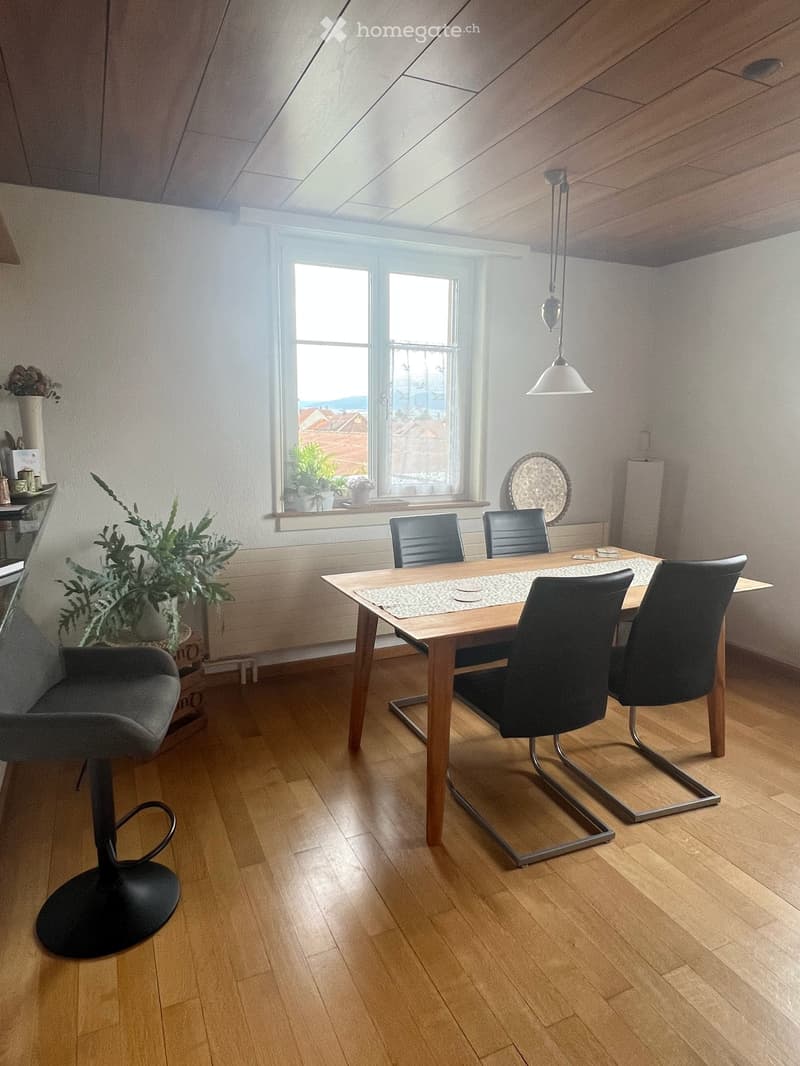 Trasadingen: EFH mit Charme und Panoramablick (19)