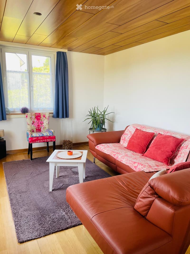 A cozy living room with a red leather sofa, a white coffee table, a patterned armchair, a potted plant, and a purple rug on a wooden floor.
