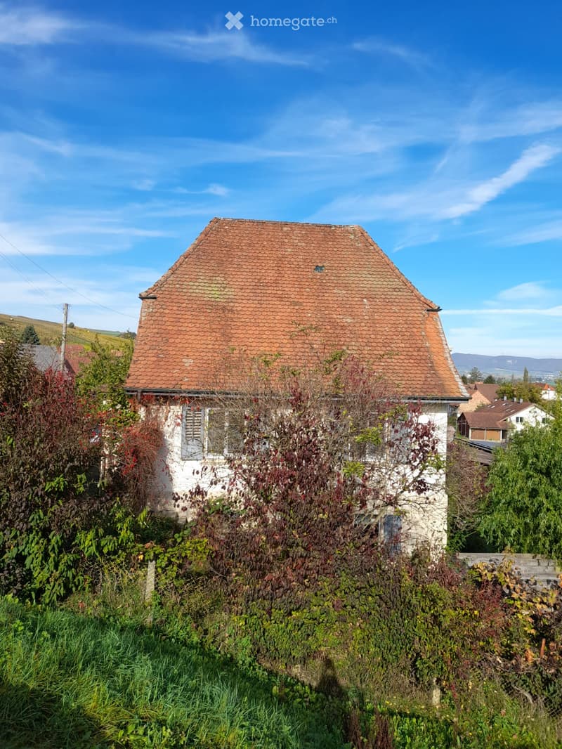 A small, white house with a red-tiled roof, partially overgrown with vegetation, surrounded by greenery and other houses in the background.