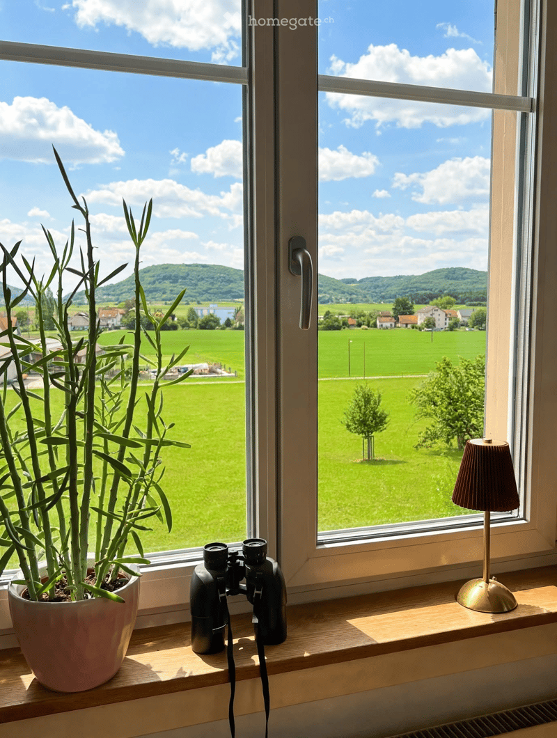 Window sill with a potted plant, binoculars, and a table lamp, overlooking a green field and distant hills.