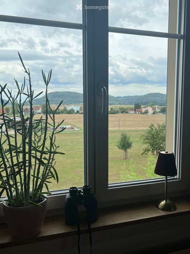 Trasadingen: EFH mit Charme und Panoramablick (7)