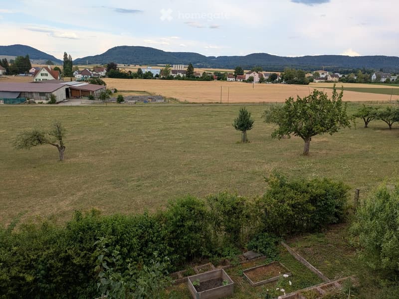 A rural garden area with a mix of grass, fruit trees, and cultivated beds, surrounded by a small village and farmland with distant mountains.