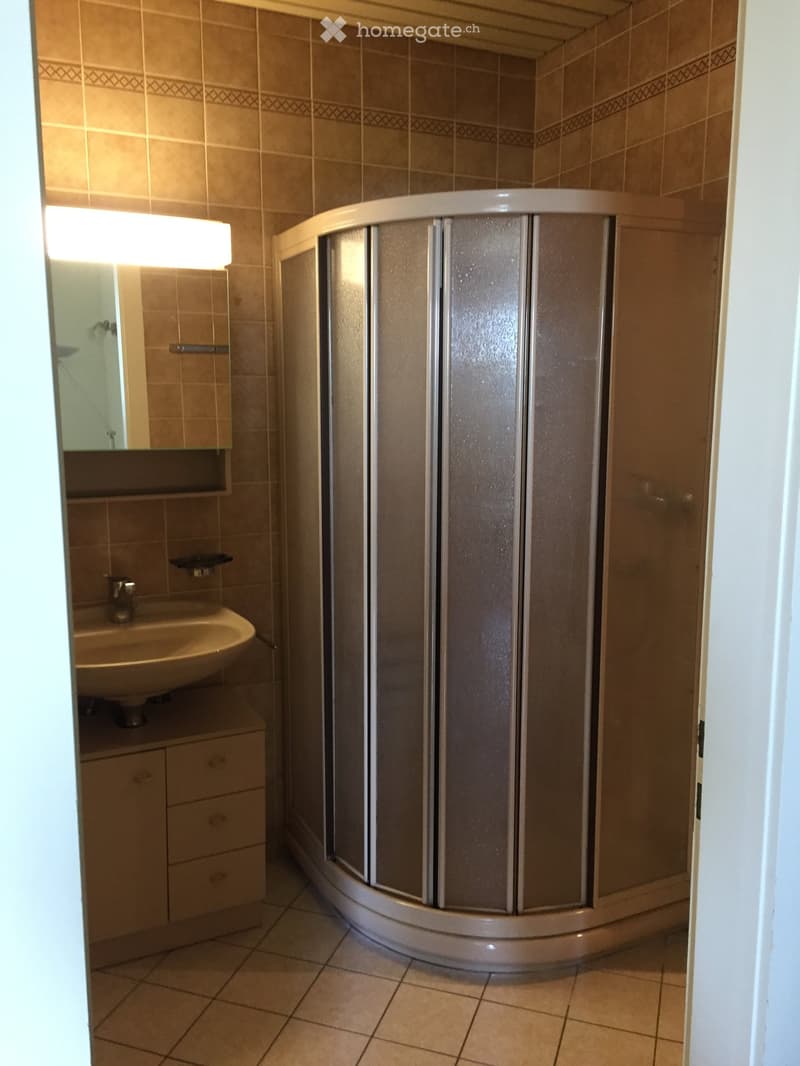 Bathroom with a corner shower stall, a sink with a mirror above it, and a small cabinet below the sink.