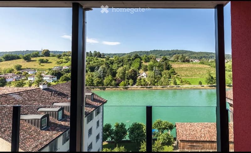 Panoramic view from a balcony overlooking a river, with surrounding greenery and houses visible.
