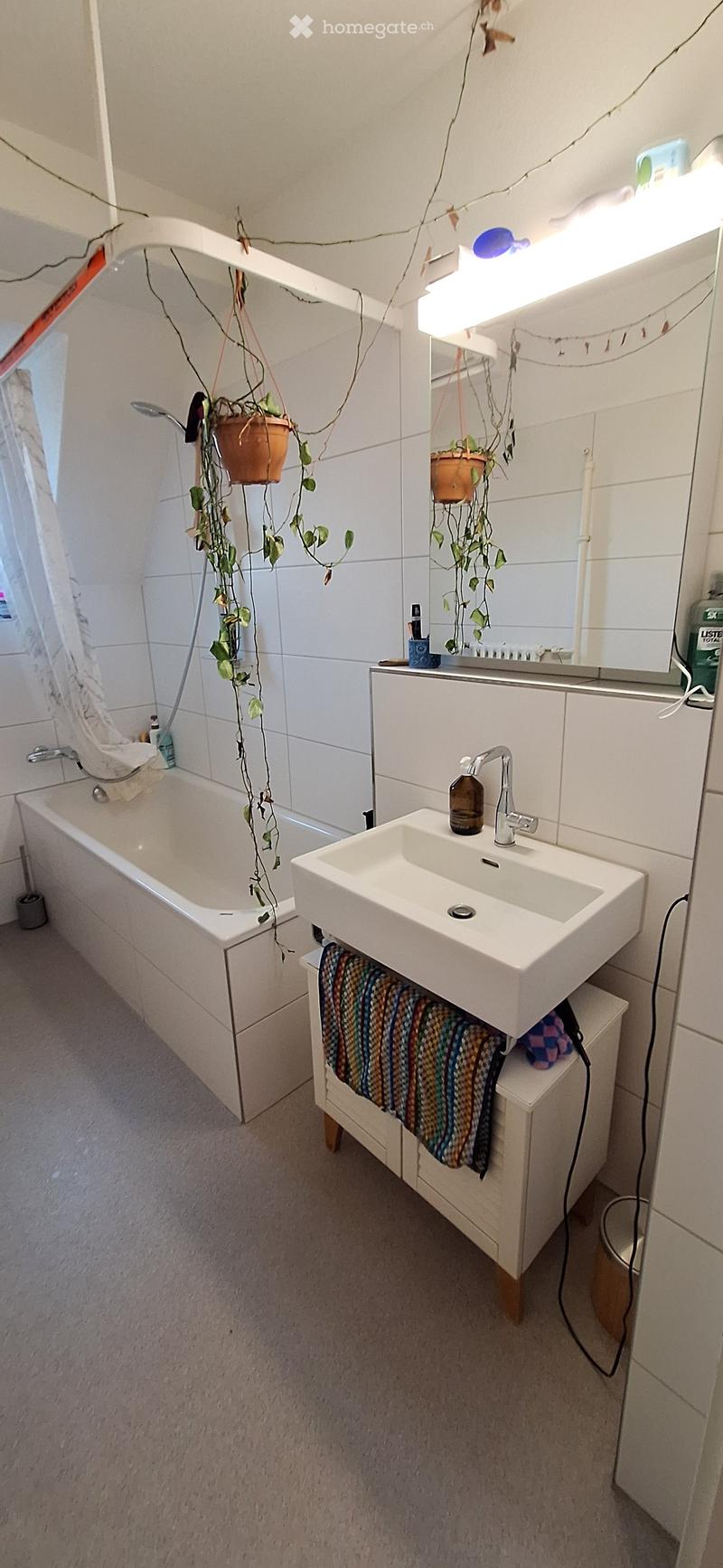 Bathroom with a white bathtub, a sink with a modern faucet, a mirror above the sink, and a potted plant hanging from the ceiling. A colorful towel is draped over the cabinet under the sink.